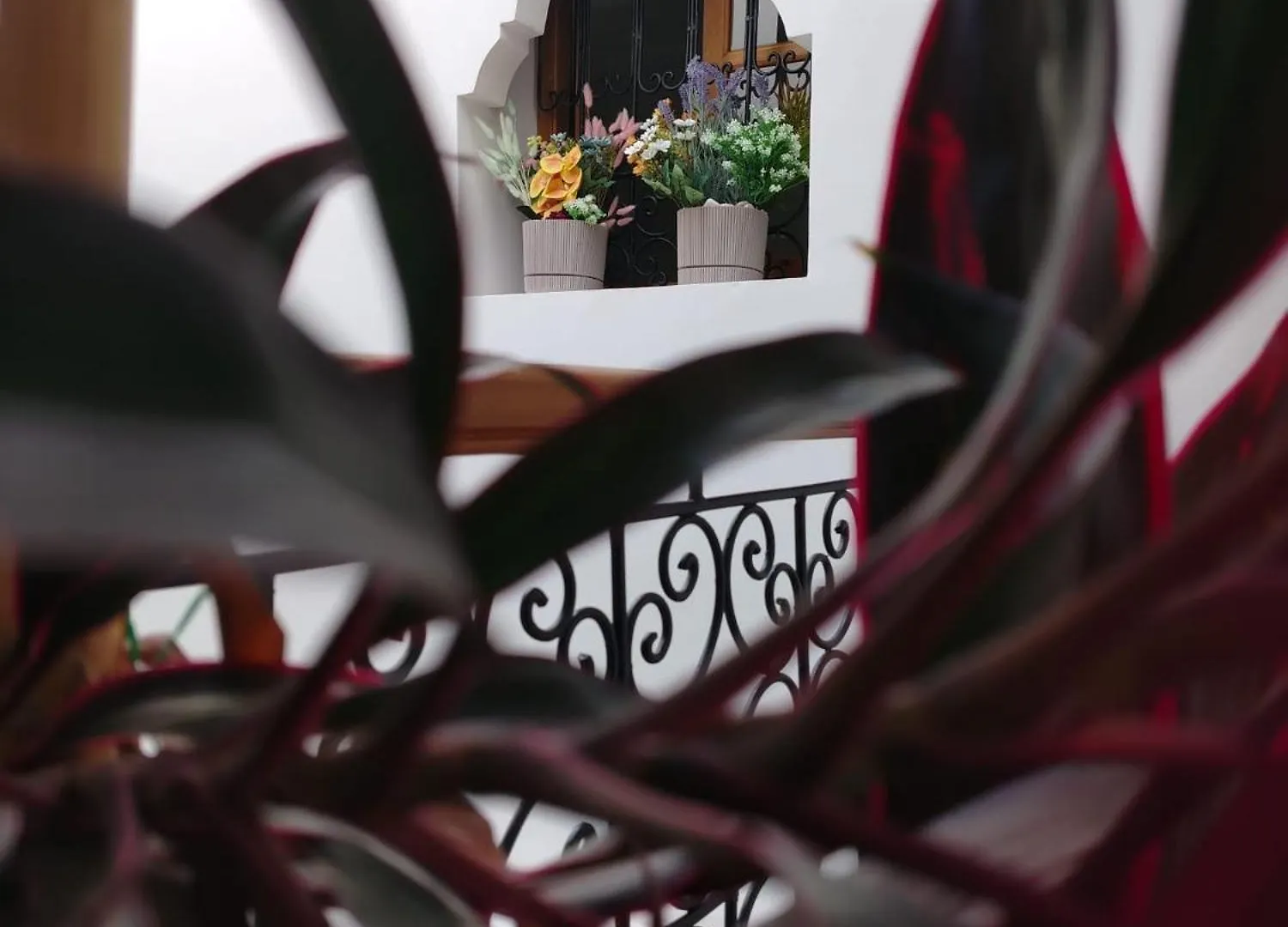 Riad & Spa Sous Le Soleil Chez Jerome Et Pamela Ch Zen Marrakesh
