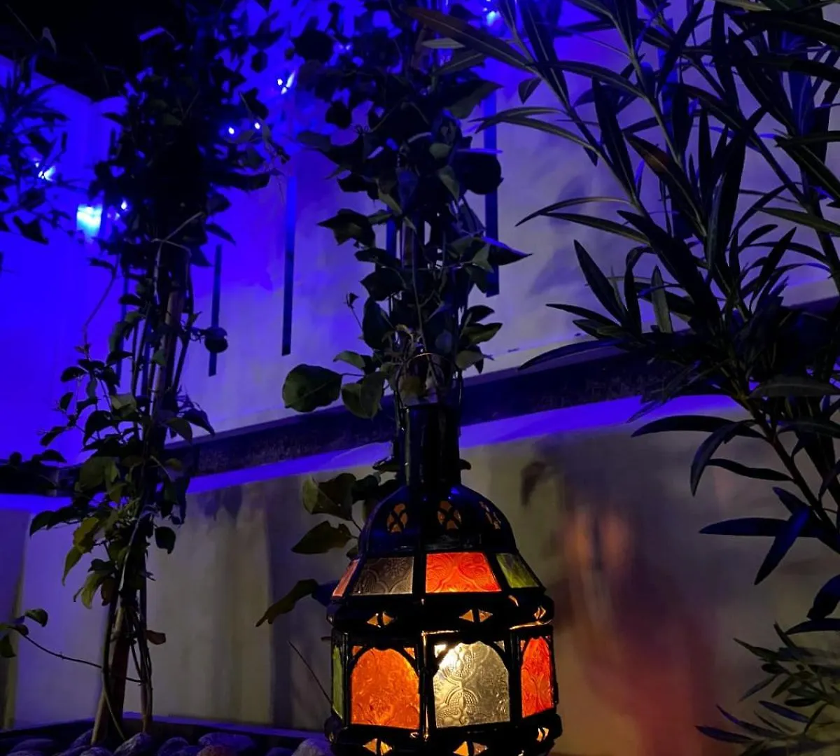 Riad & Spa Sous Le Soleil Chez Jerome Et Pamela Ch Zen Марракеш Проживание в семье